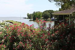 Sam Houston National forest